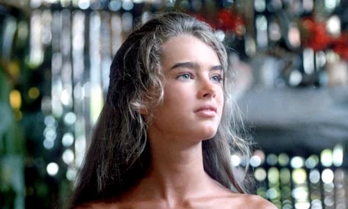 2 broke shields main jpg jpeg