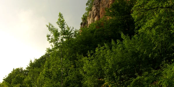 Imagini din zona Luncani. D. Guţă