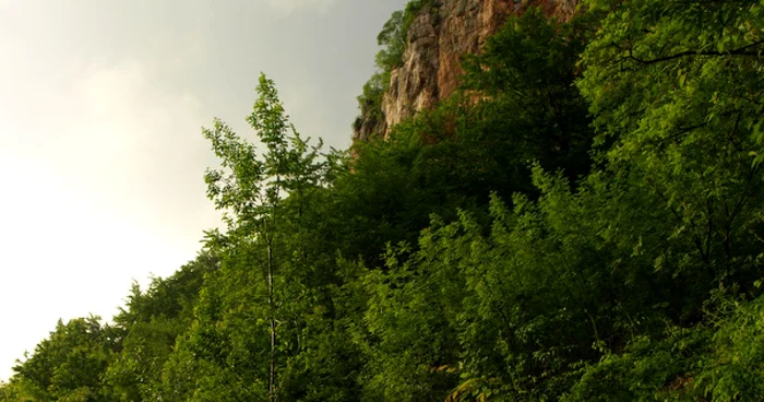 Imagini din zona Luncani. D. Guţă