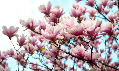 1 shutterstock 1702718611 jpg jpeg