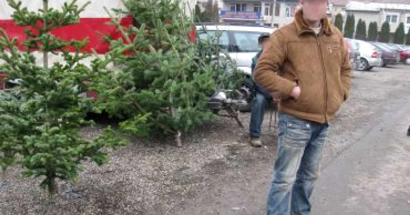 Un hunedorean a fost prins de două ori în 10 zile cu brazi de contrabandă