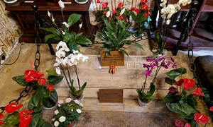 Mormântul lui Mircea cel Bătrân de la Mânăstirea Cozia (© MIHAIL / Wikimedia Commons)