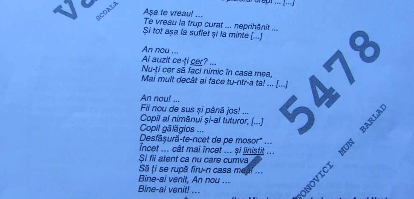 subiecte evaluare romana clasa a VIII-a