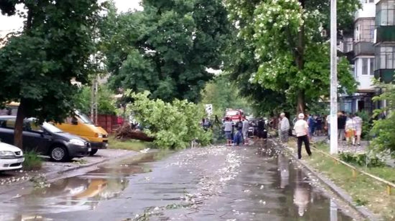 Bărbatul nu a mai putut fi salvat, după ce copacup i-a frânt coloana vertebrală