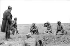 Soldați români și prizonieri ruși în zona Don/Stalingrad (© Bundesarchiv Bild 101I 218 0513 23A)