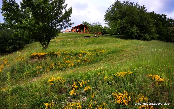 cetatea dacica costesti foto daniel guta adevarul