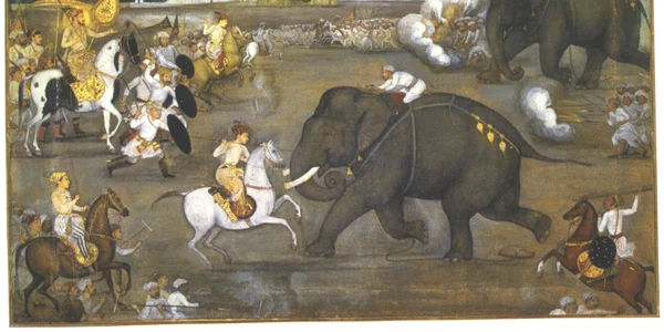 elefanti de lupta