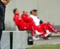 steaua laurentiu reghecampf