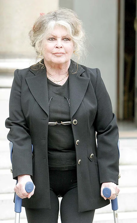 Choupette este cea mai bogată pisică din lume