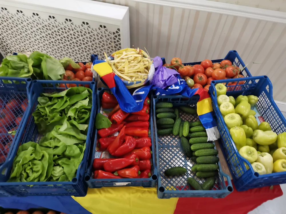 În solariile legumicultorilor români încă  se produc, la final de noiembrie, legume FOTO: A.M.