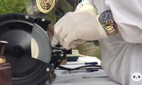 apple watch jpeg