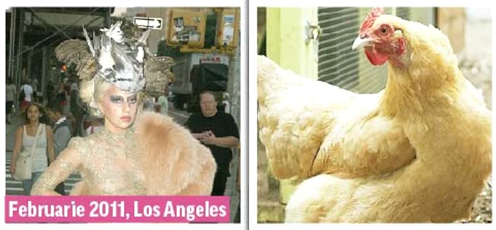 Martie 2014, New York (Fotografii: guliver/ splashnews/ photoland/ wenn/ reuters)