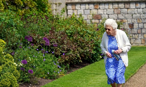 1 profimedia 0615014507 jpg jpeg