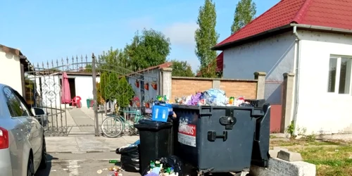 deseuri foto garda de mediu arad jpg