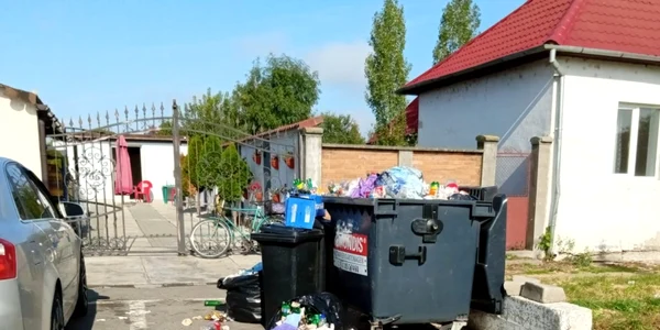 deseuri foto garda de mediu arad jpg