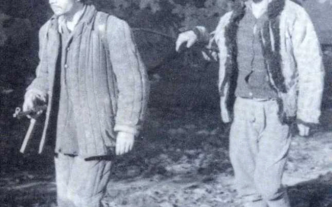 partizani fagaras