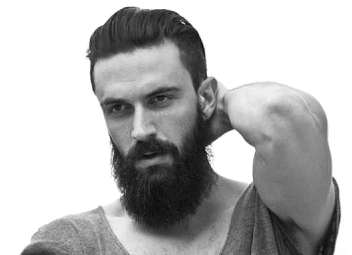 Aşa trebuie să arate barba ta în perioada sărbătorilor de iarnăFoto Hepta