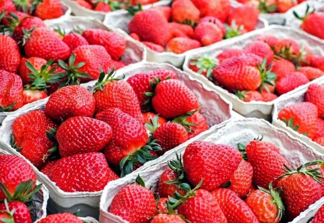 Majoritatea fructelor şi legumelor se păstrează mai bine când nu sunt ţinute la frigider.