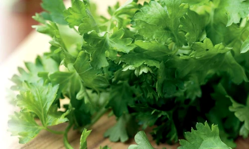 1 55483 original jpg jpeg