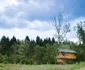 5 foto airbnb 1 jpg jpeg