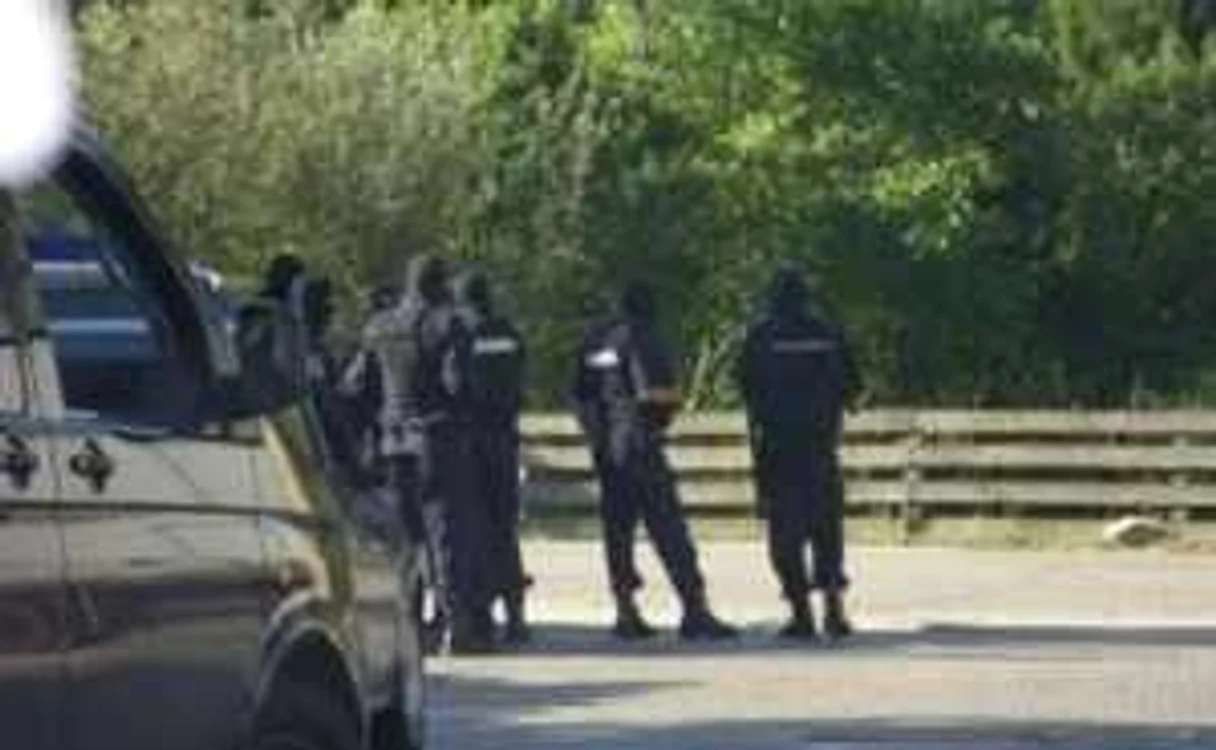 VIDEO "Reţeaua Borşa" - spartă după un filaj de jumătate de an