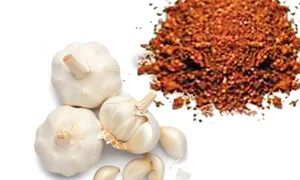 CLIIMA20100518 0134 1 jpeg