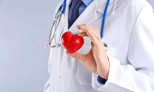 1 shutterstock 522089446 jpg jpeg