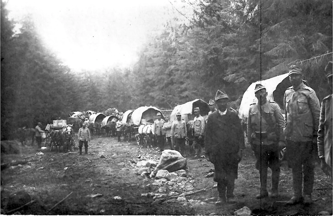 Vâlcea Bătălia de pe creste Bătălia trecătorilor în Primul Război Mondial  Foto historylapse org