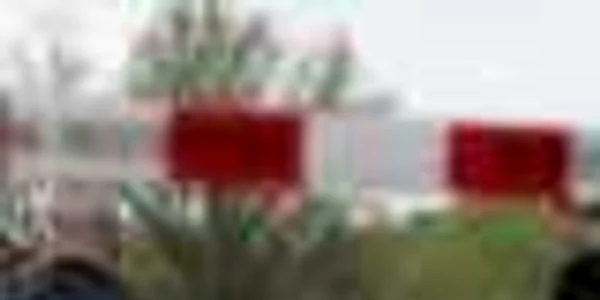 Bucureşti: Un bărbat a fost găsit spânzurat în Parcul IOR