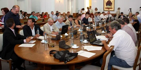 Şedinţa de Consiliu Local
