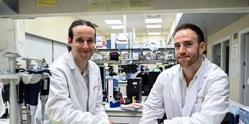 Cercetătorii Inaki Martin Subero și Marti Duran Ferrer au descoperit cutia neagră a cancerului Foto Universitatea Barcelona jpg