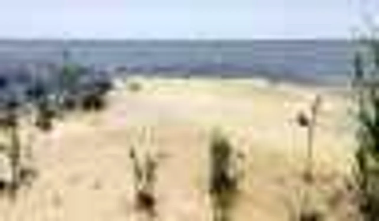 litoral vlad petri 3