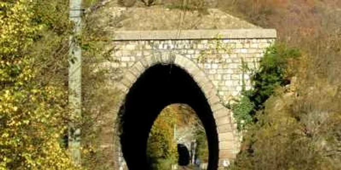 Linia ferată din Defileul Jiului cuprinde 39 de tuneluri Foto: Arhivă Adevărul
