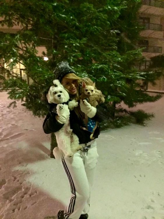 Doi căţeluşi adorabili i-au ţinut companie Andei Adam, pe tot parcursul serii