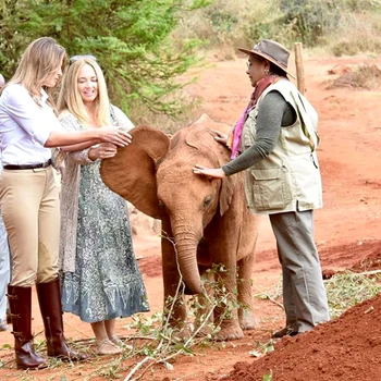 5 melania trump png png