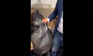 peter magyar gif gif