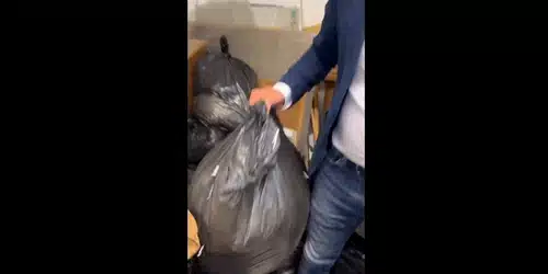 peter magyar gif gif