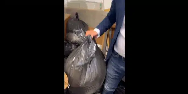 peter magyar gif gif