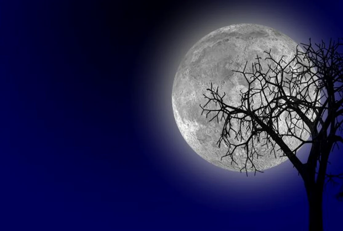 27 octombrie: Lună plină în Taurwww.clickpentrufemei.ro