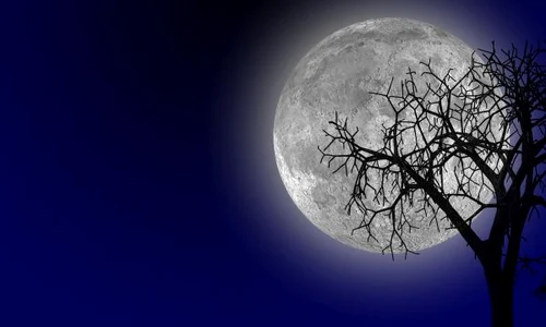 luna plina jpeg