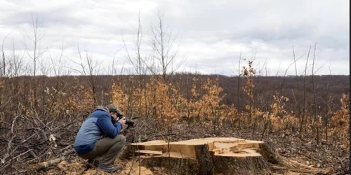 Pădure Natura 2000 Dobrovăţ