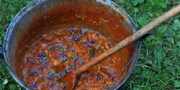 gulas cu cimbrisor de camp 