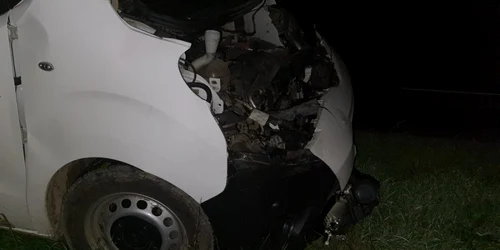 Urs lovit de masina FOTO pressalert.ro