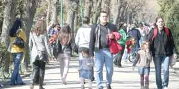 Arhiva Adevărul