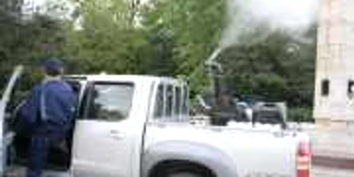 Spaţiile verzi şi parcurile din Cluj-Napoca, tratate anual pentru combaterea căpuşelor (foto: adevarul)