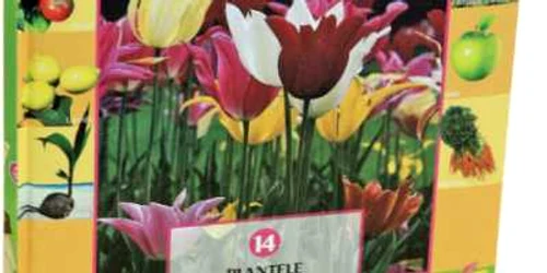 „Plantele“, volumul 14 din Colecţia „Prima mea Enciclopedie“