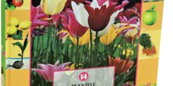 „Plantele“, volumul 14 din Colecţia „Prima mea Enciclopedie“
