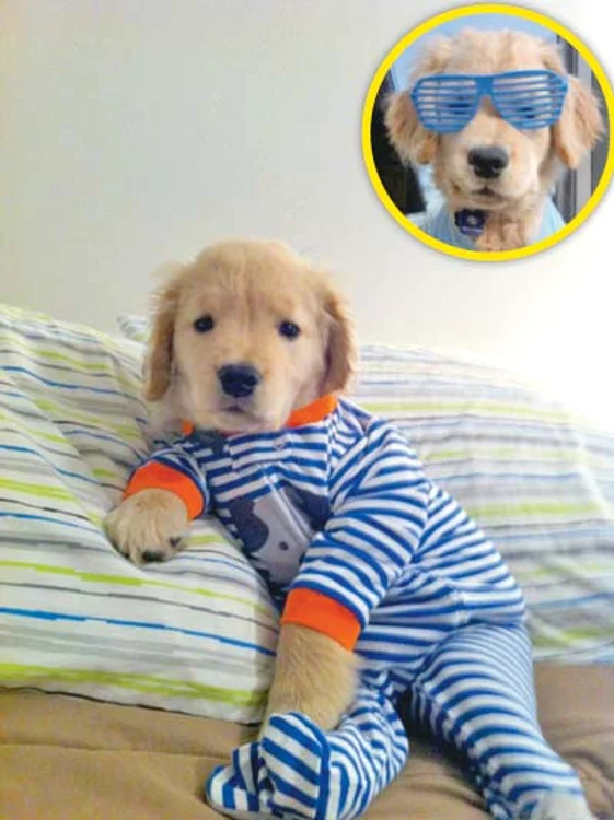 “Poa’ să fie apa cât de rece, sar şi vă salvez cât ai zice peşte!” (Fotografii: photolamd/caters/facebook)