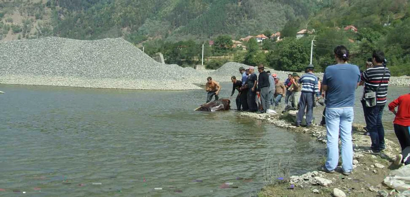 Pompierii au scos la mal căruţaşul care s-a înecat cu cal şi căruţă într-o groapă de pe malulul Oltului