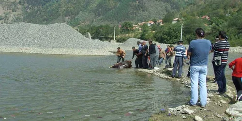 Pompierii au scos la mal căruţaşul care s-a înecat cu cal şi căruţă într-o groapă de pe malulul Oltului